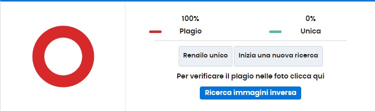 risultati del controllo del plagio